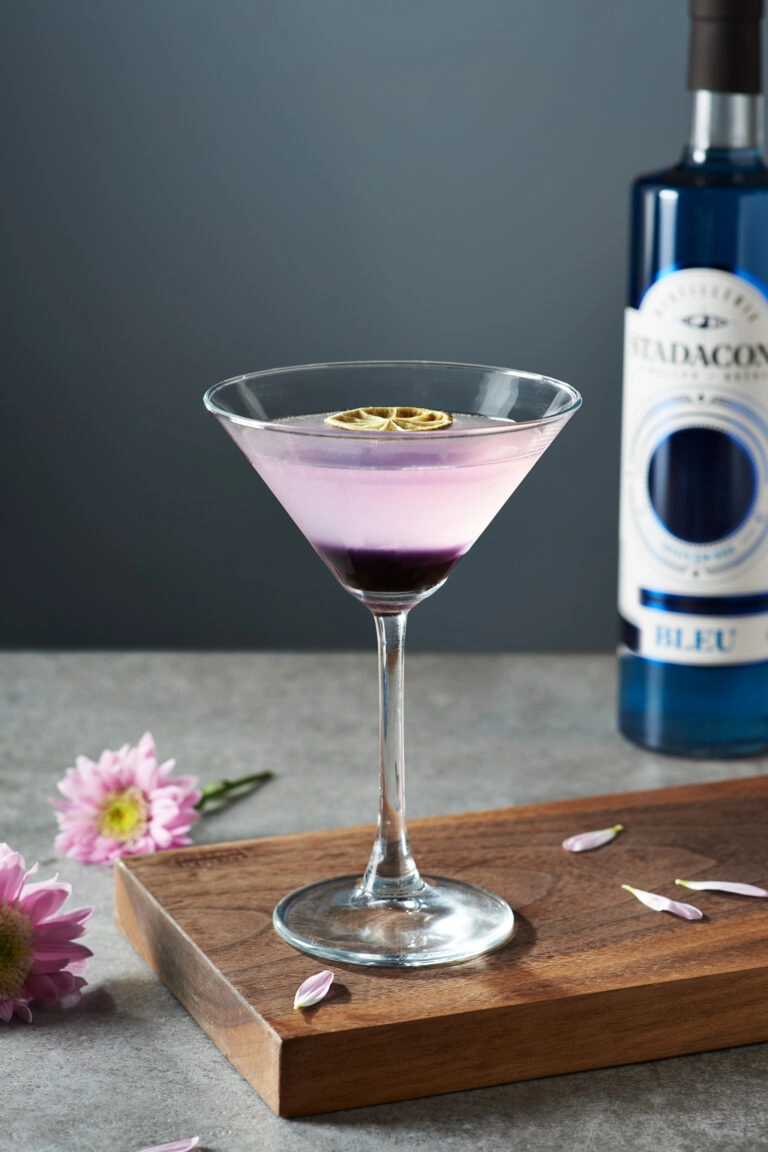 Le navigateur (aviation) - Stadaconé bleu